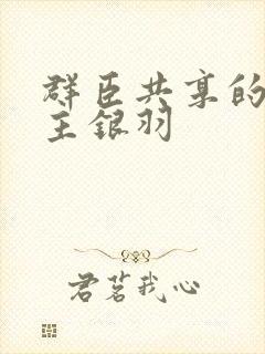 群臣共享的小公主银羽封面