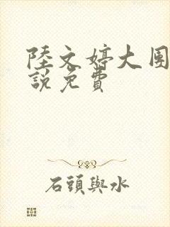 陆文婷大团圆小说免费