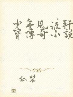 少年风流轩辕大宝传奇小说封面