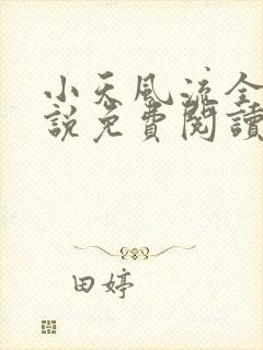 小天风流全集小说免费阅读