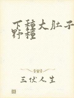 下种大肚子怀孕野种