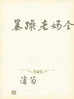 暴躁老妈全集封面