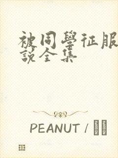 被同学征服的小说全集封面