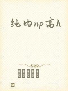 纯肉np高h封面