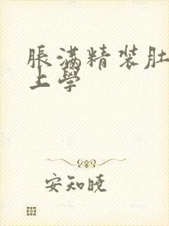 胀满精装肚子去上学封面