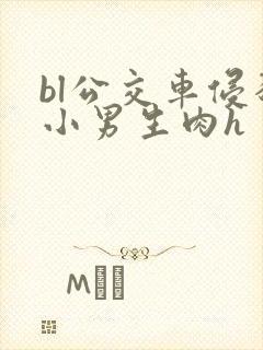 bl公交车侵犯小男生肉h