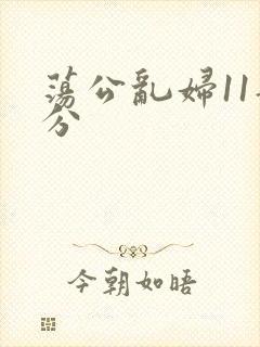 荡公乱妇11部分封面