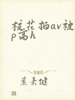 校花拍av被np高h