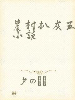 农村扒灰五十篇小说封面