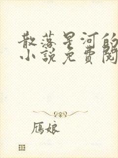 散落星河的记忆小说免费阅读全文封面