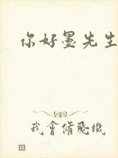 你好墨先生