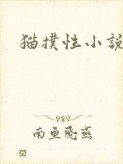 猫扑性小说