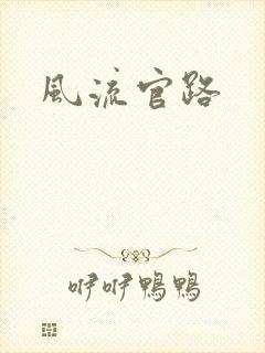 风流官路