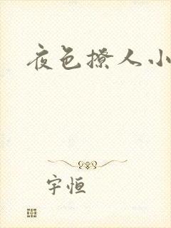 夜色撩人小说