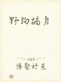野狗摘月