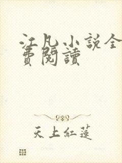 江凡小说全文免费阅读