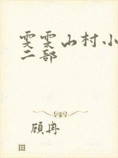 雯雯山村小说第二部封面