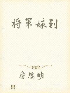 将军嫁到