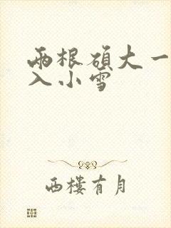 两根硕大一起挤入小雪