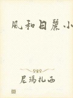 风和日丽小说