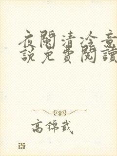夜阑清冷意欢小说免费阅读封面