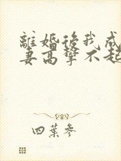 离婚后我成了前妻高攀不起的神封面
