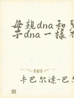 母亲dna和儿子dna一样不