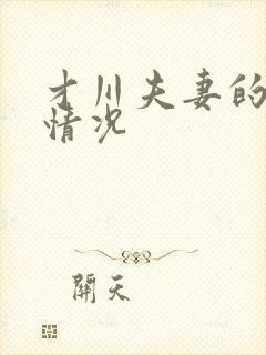 才川夫妻的恋爱情况