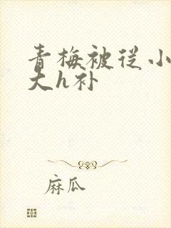 青梅被从小摸到大h补封面