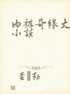 内裤奇缘大团结小说