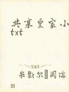 共享皇家小公主txt封面