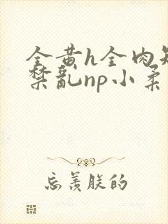 全黄h全肉短篇禁乱np小柔封面