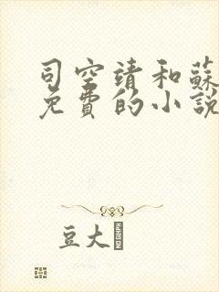 司空靖和苏月汐免费的小说笔趣阁