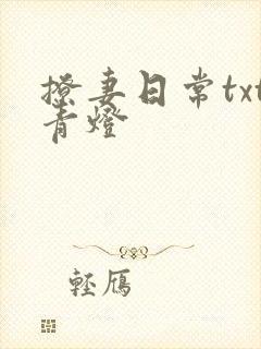 撩妻日常txt青灯封面