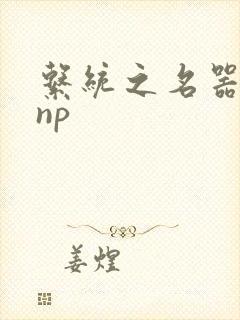 系统之名器攻略np