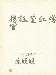 杨钰莹红楼醉高官封面