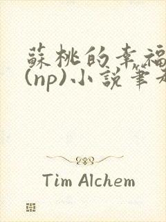 苏桃的幸福生活(np)小说笔趣阁