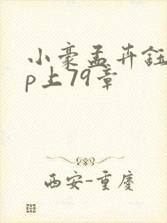 小豪孟卉钰慧三p上79章