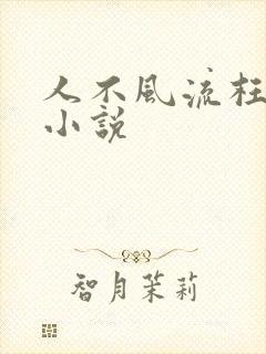 人不风流枉少年小说