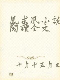 凤求凰小说免费阅读全文