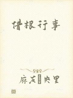 借根行事封面