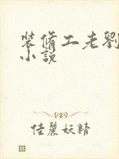 装修工老刘林雪小说封面