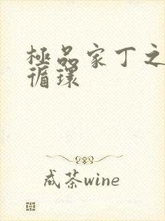 极品家丁之因果循环