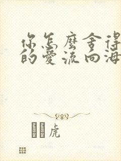 你怎么舍得让我的爱流向海
