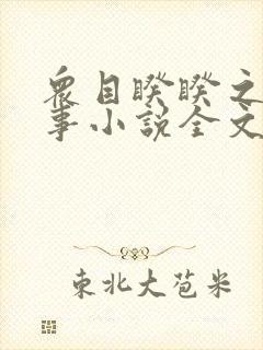 众目睽睽之下的事小说全文免费阅读封面