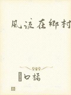 风流在乡村封面