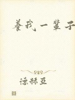 养我一辈子封面