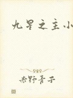 九星之主小说
