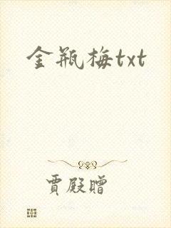 金瓶梅txt封面