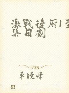 激战后厨1至5集日剧